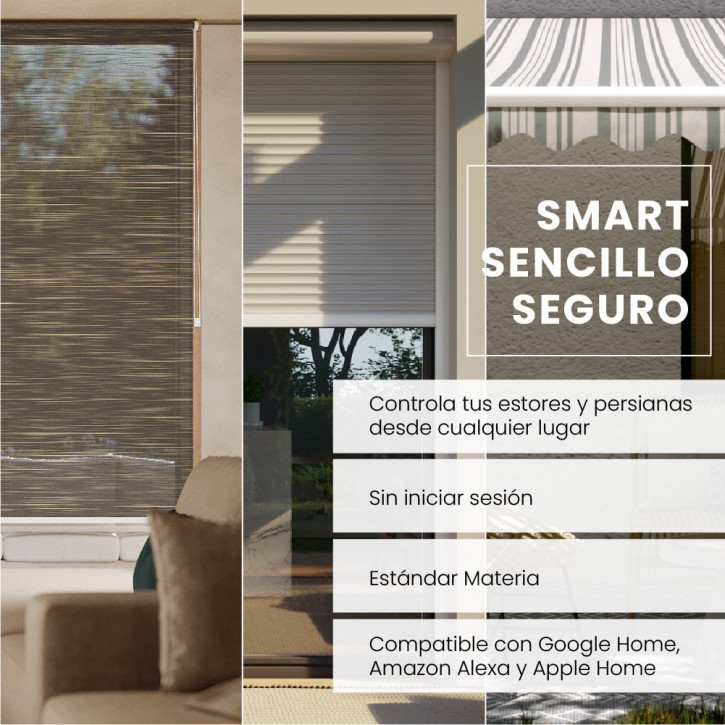 Smart-Home Domondo Bridge